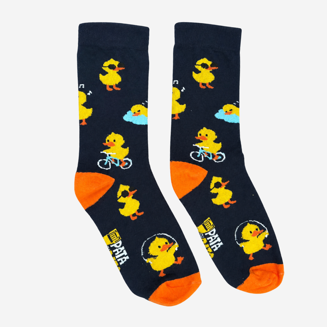 Patos aventureros